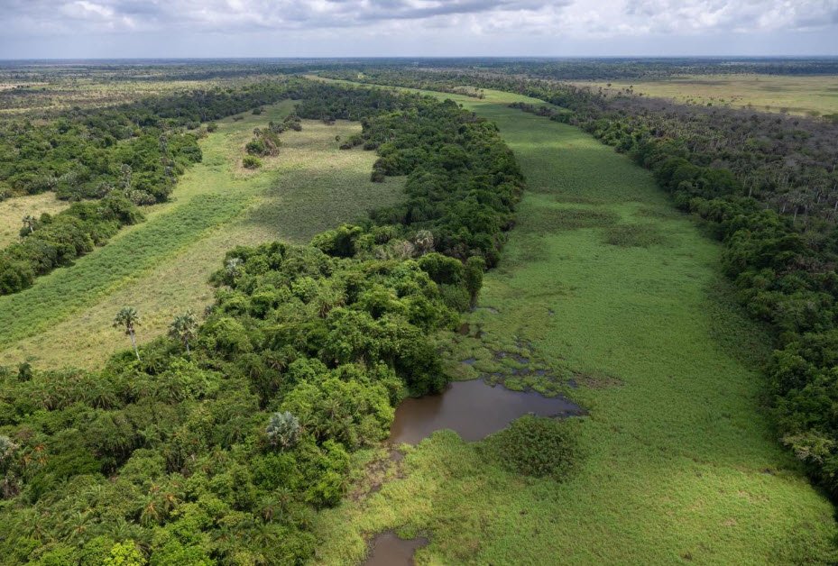 Marromeu Buffalo Reserve, Sofala Province, Mozambique